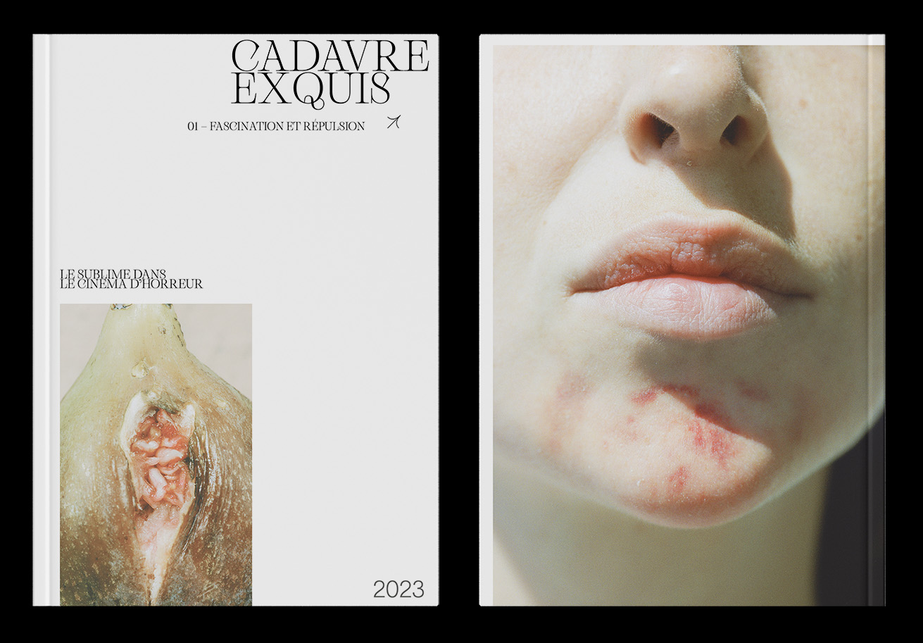 couverture et 4eme de la revue cadavre exquis